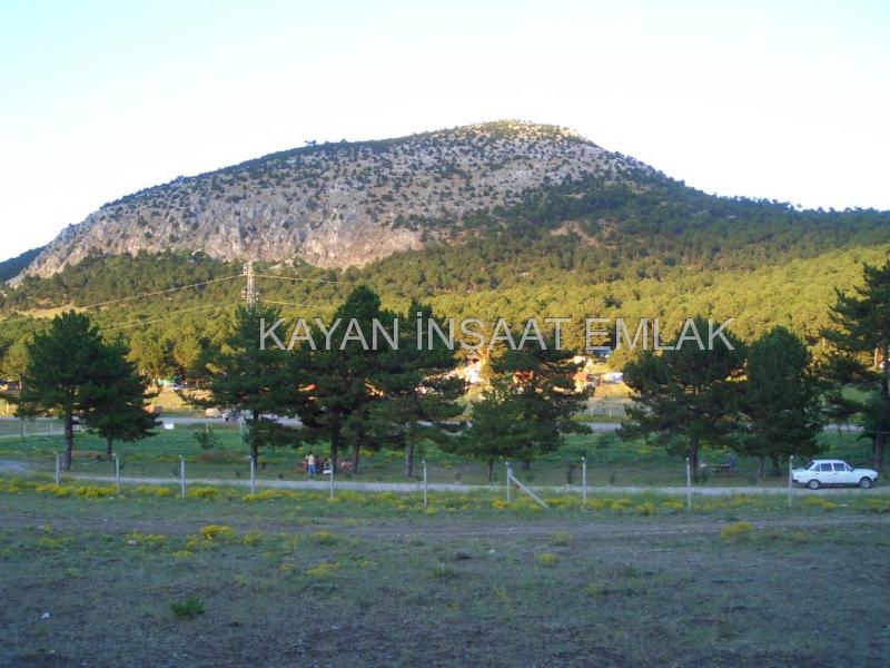 denizli yatağan kefe yaylasında satılık tarla